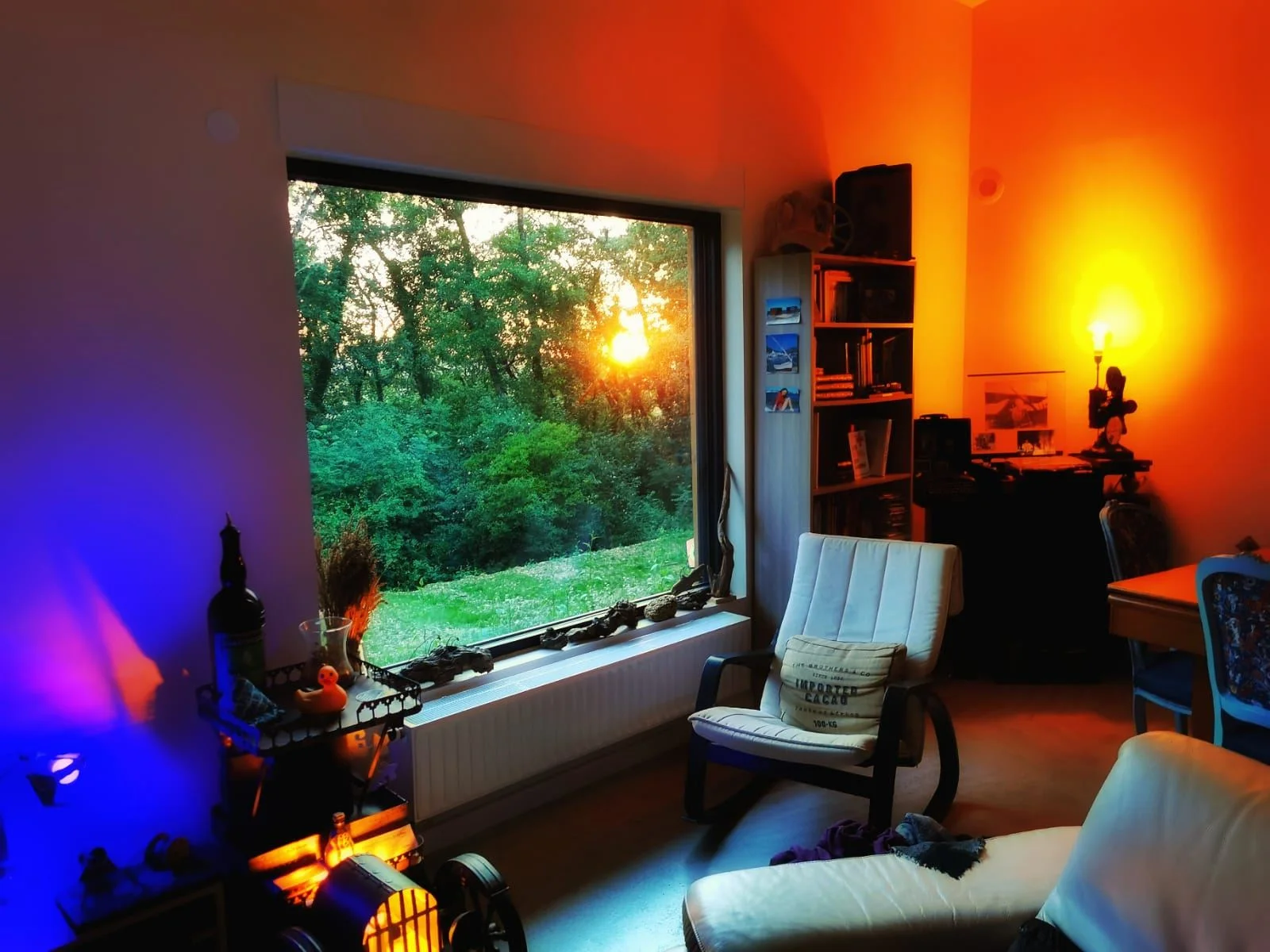 Construction bois Marine BEZIA - Résultat final